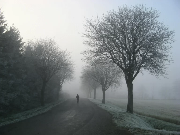 Feeling Alone? Empowering Affirmations for Loneliness Await You