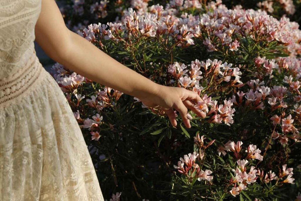 Spring Self Care Challenge You’ll Love (Easy Daily Ideas)