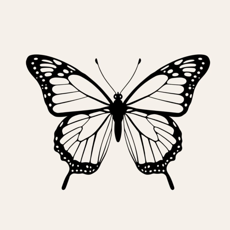 Logo Divinity Path